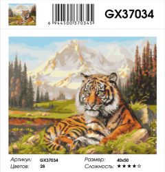 GX37034 Картина по номерам  "Тигр на поляне" 40х50 см