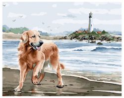 GX 34293 Картина по номерам Paintboy "Радостный пес у берега"