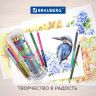 Карандаши цветные двусторонние BRAUBERG PREMIUM TWIN COLOUR, 24 штуки, 48 цветов, туба, 181876