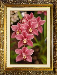 N-373 Алмазная мозаика Милато "Дикая орхидея"