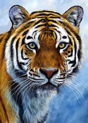 Ag 2311 Алмазная мозаика Гранни "Спокойствие тигра"