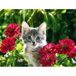 Котенок в цветах  Ag 422