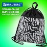 Мешок для обуви BRAUBERG БОЛЬШОЙ, с ручкой, карман на молнии, сетка, 49х41 см, "Graffiti", 271062