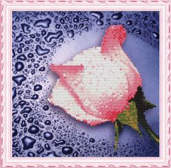 80214 "Белая роза" (Color Kit)