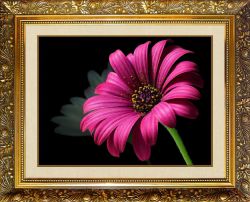 N-102 Алмазная мозаика Милато "Пурпурный цветок"