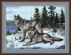 567 Волки (Овен)